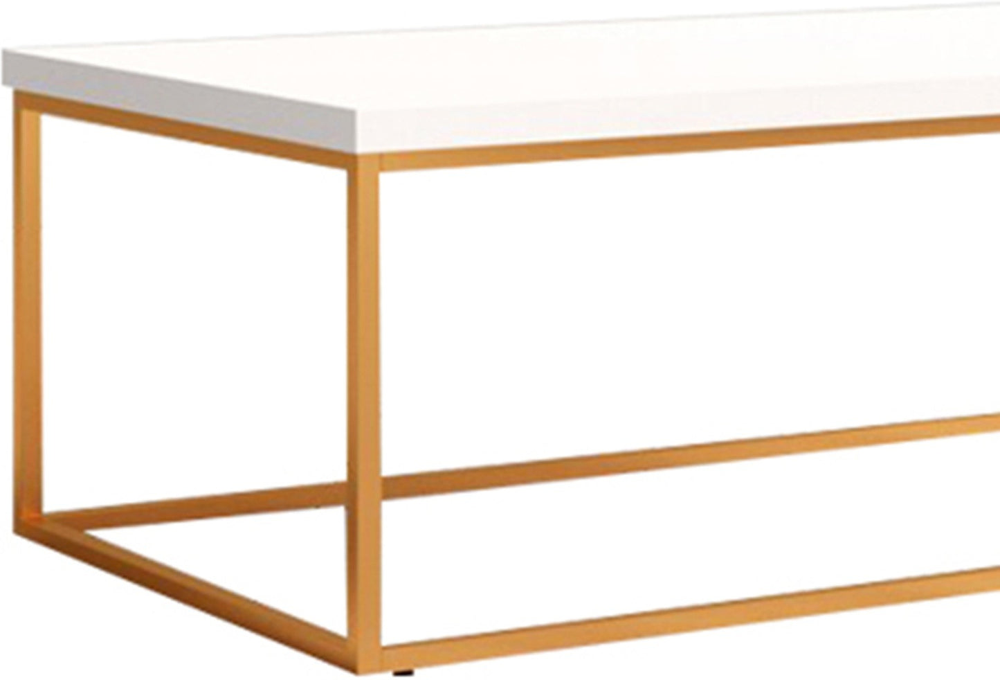 Anishwar Eco Coffee Table ( Golden And White Finish )