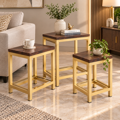 ANISHWAR 3 Piece Nesting Side Table Set for Living Room | Golden Metal Frame with Wooden Finish MDF Top | 3 Different Sizes | Space Saving Stackable End Tables for Sofa & Bedroom