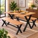 4 Seater Dining Table Set with Benches | Metal Frame & MDF Top Dining Set for Home & Restaurant